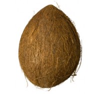 coconut-medium